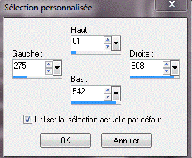 capture selection personnaliser.PNG